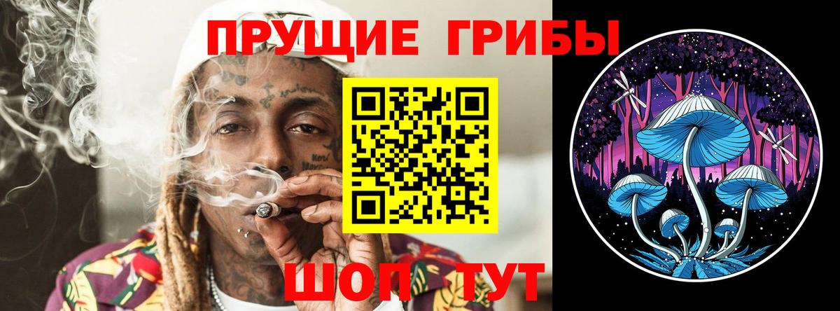 Заринск  Галлюциногенные грибы Psilocybe  Вход с VPN 